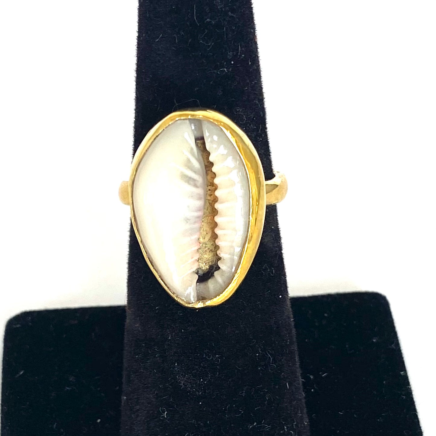 Classy Cowrie Shell Ring