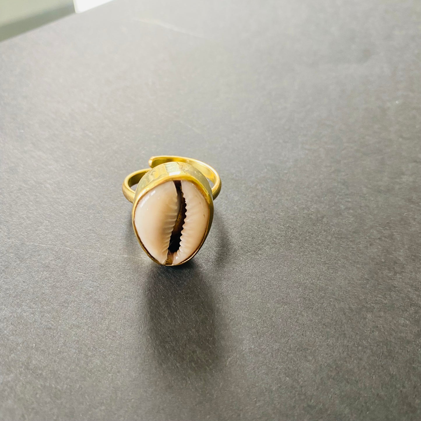 Classy Cowrie Shell Ring