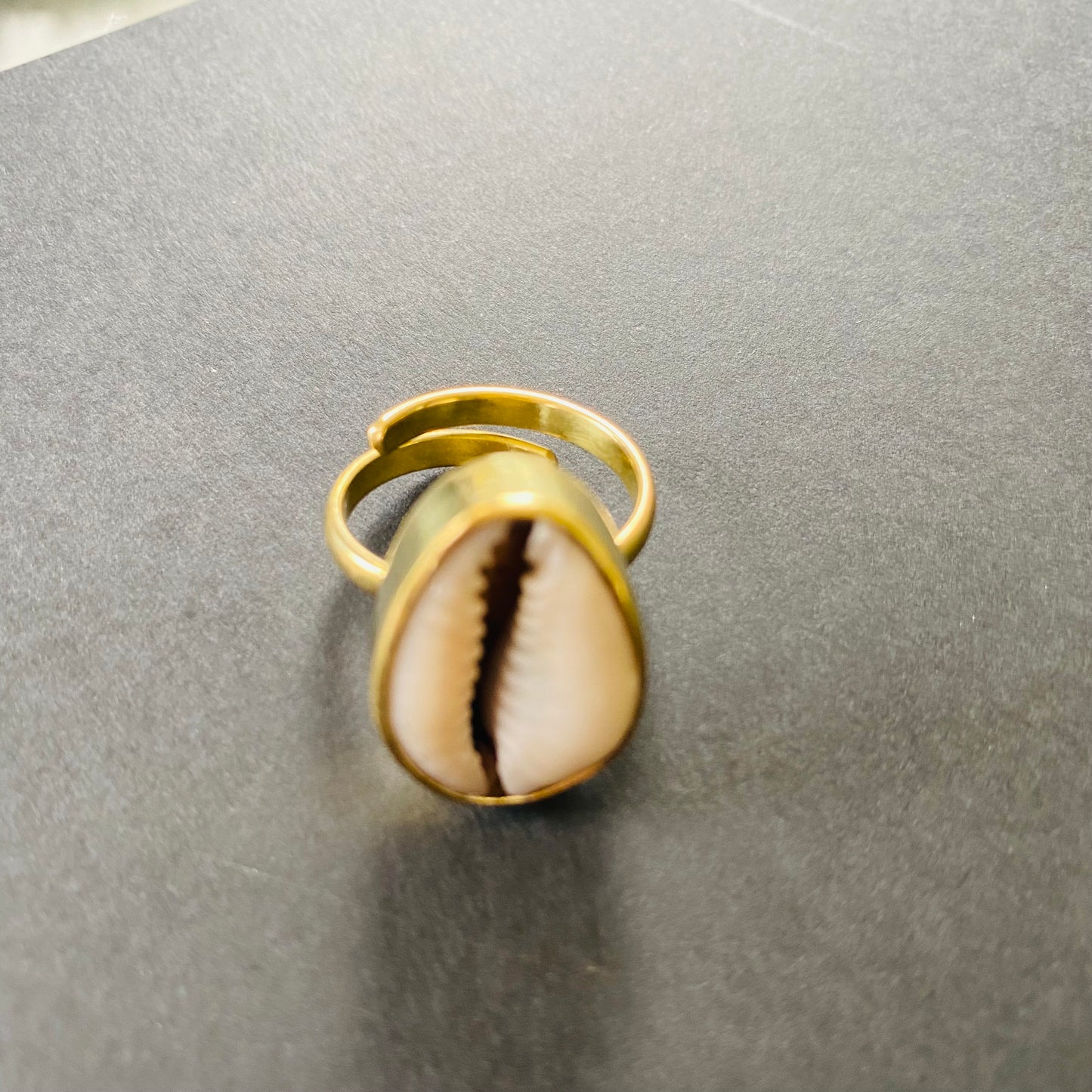 Classy Cowrie Shell Ring