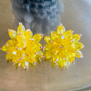Dazzling Studs