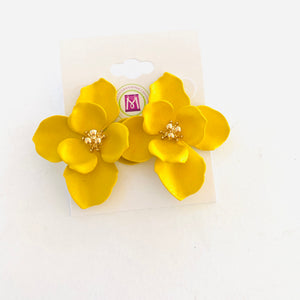 Fun Earrings Collection