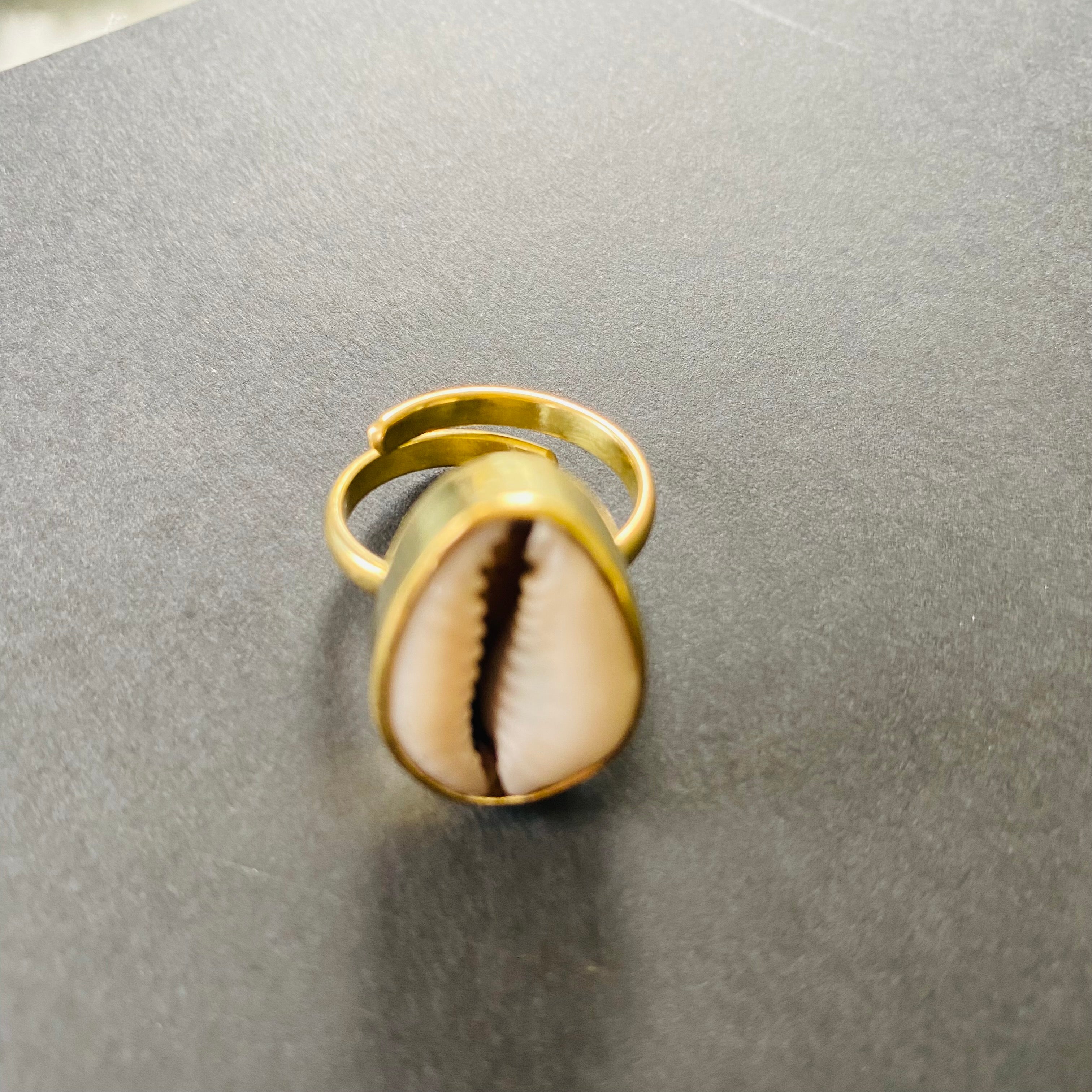 Pre-Order: Classy Cowrie Shell Ring